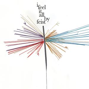 Album cover for I Feel It All album cover