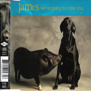 Album cover for We're Going to Miss You album cover