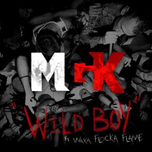 Album cover for Wild Boy album cover