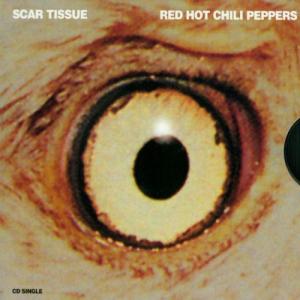 Album cover for Scar Tissue album cover