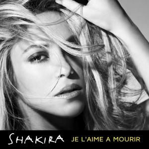 Album cover for Je l'aime à mourir album cover