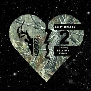 Album cover for Achy Breaky 2 album cover