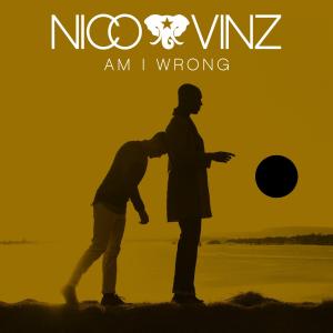 Album cover for Am I Wrong album cover