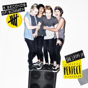 Album cover for She Looks So Perfect album cover