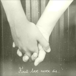 Album cover for First Love Never Die album cover