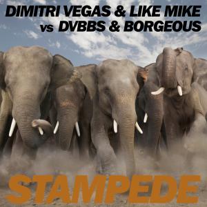 Album cover for Stampede album cover