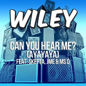 Album cover for Can You Hear Me? (Ayayaya) album cover