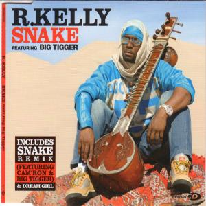 Album cover for Snake album cover
