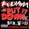 Album cover for Put It Down album cover