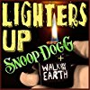 Album cover for Lighters Up album cover