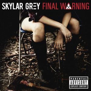 Album cover for Final Warning album cover