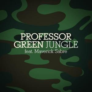 Album cover for Jungle album cover