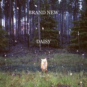Album cover for Daisy album cover