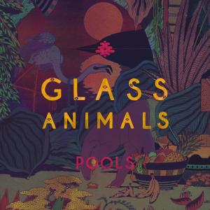 Album cover for Pools album cover