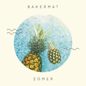 Album cover for Zomer album cover