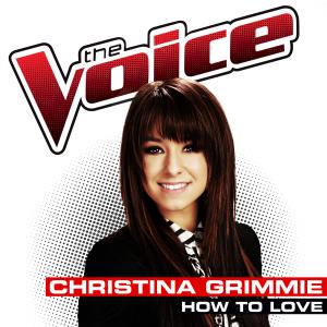 Album cover for How To Love album cover