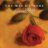 Evergreen (Love Theme from A Star Is Born)