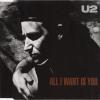 All I Want Is You
