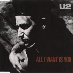 Album cover for All I Want Is You album cover