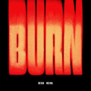 Album cover for Burn album cover