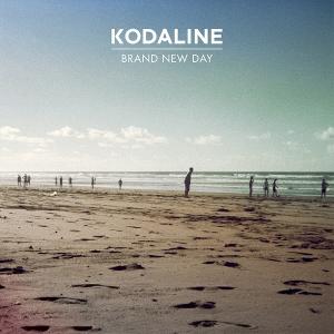 Album cover for Brand New Day album cover