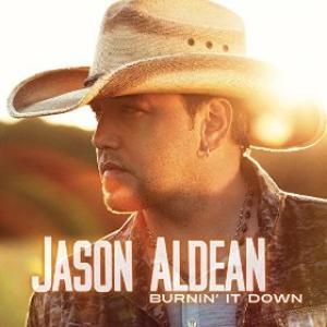 Album cover for Burnin' It Down album cover