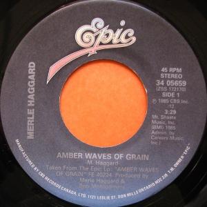 Album cover for Amber Waves of Grain album cover