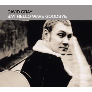 Album cover for Say Hello, Wave Goodbye album cover