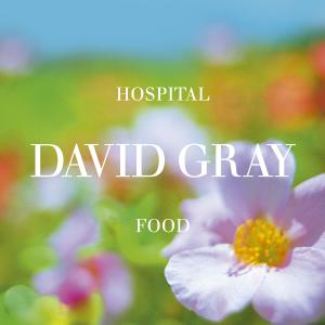 Album cover for Hospital Food album cover