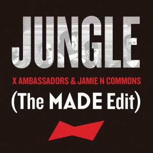 Album cover for Jungle album cover