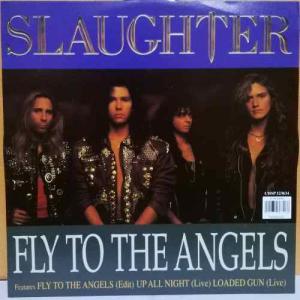 Album cover for Fly to the Angels album cover