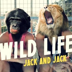 Album cover for Wild Life album cover