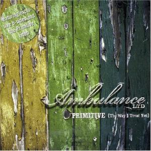 Album cover for Primitive (The Way I Treat You) album cover