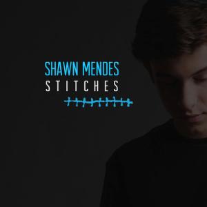 Album cover for Stitches album cover