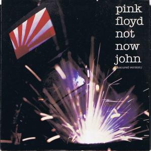 Album cover for Not Now John album cover