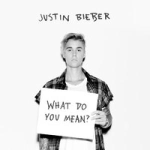 Album cover for What Do You Mean album cover