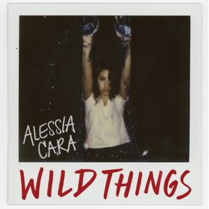 Album cover for Wild Things album cover