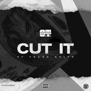 Album cover for Cut It album cover