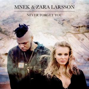 Album cover for Never Forget You album cover