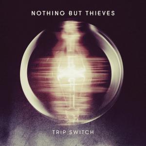 Album cover for Trip Switch album cover