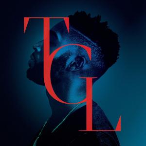 Album cover for Girls Like album cover