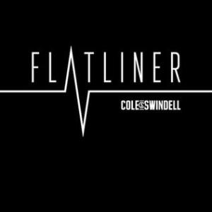 Album cover for Flatliner album cover