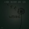 Album cover for Wishing album cover