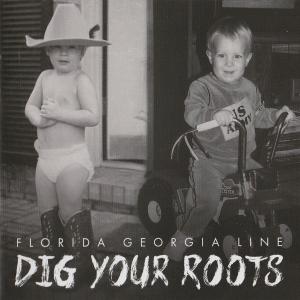 Album cover for Dig Your Roots album cover