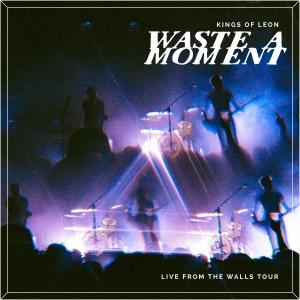 Album cover for Waste A Moment album cover