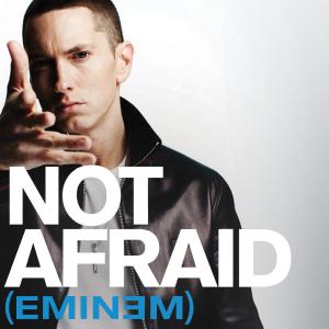 Album cover for Not Afraid album cover