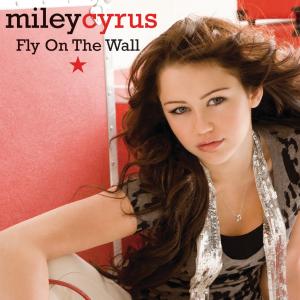 Album cover for Fly on the Wall album cover