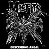 Album cover for Descending Angel album cover