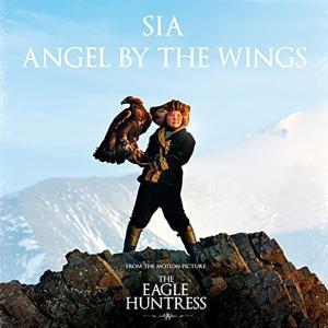 Album cover for Angel By The Wings album cover