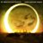 Ashes of Eden